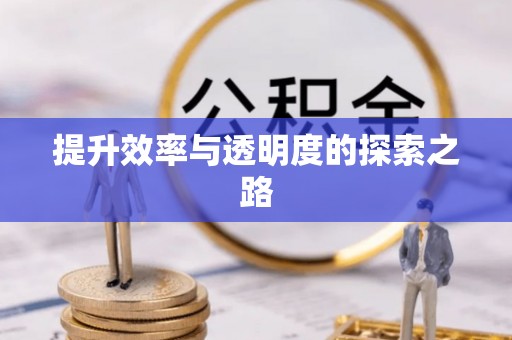 龙泉驿提升效率与透明度的探索之路
