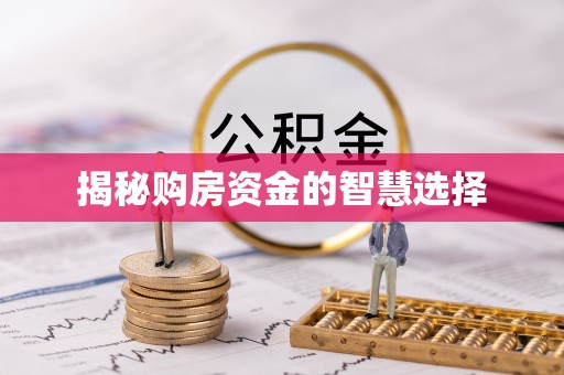 龙泉驿揭秘购房资金的智慧选择