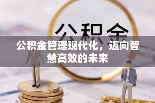 龙泉驿公积金管理现代化，迈向智慧高效的未来