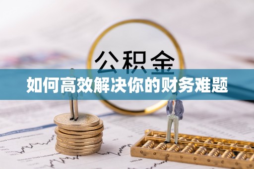 龙泉驿如何高效解决你的财务难题
