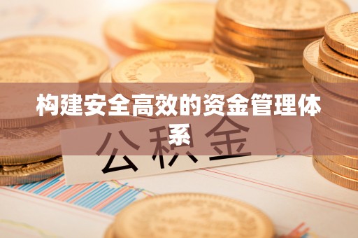龙泉驿构建安全高效的资金管理体系